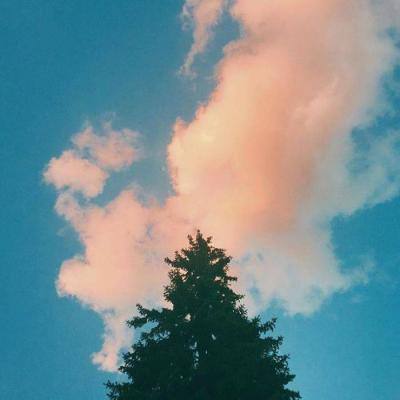 乐虎国际下载手机版截图