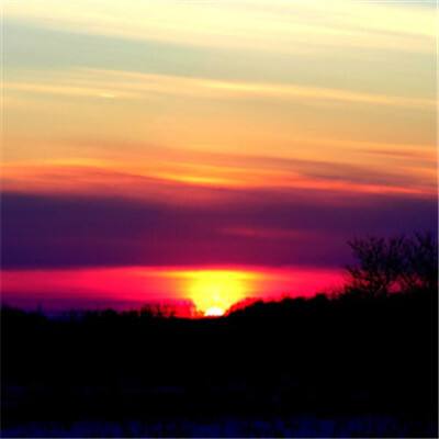 万博体育app下载官网