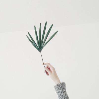 ag真人平台官方