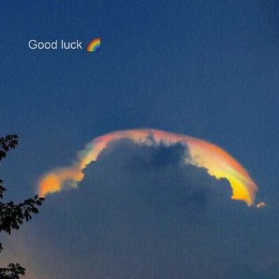 百姓彩票网app下载