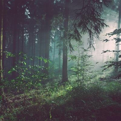 998娱乐彩票安卓APP手机app下载